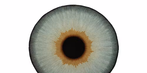 Vernissage: Ulla Wiggen \u2013 Passage