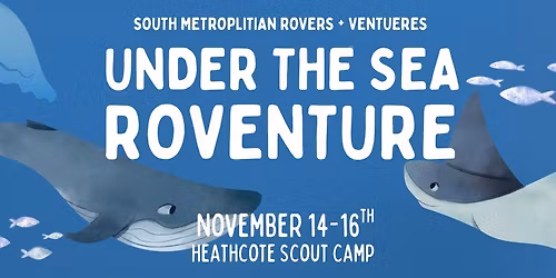 Roventure- Under The Sea