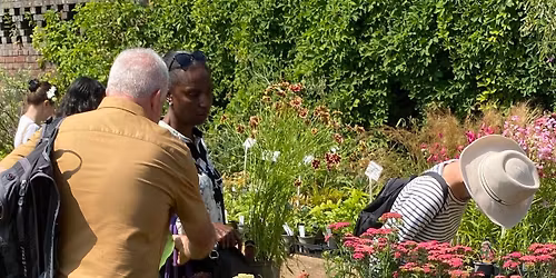 Rare Plant Fair, Winterbourne House and Garden, Birmingham