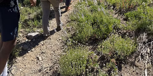 Intro to Backcountry Backpacking in Tahoe National Forest (1-night)