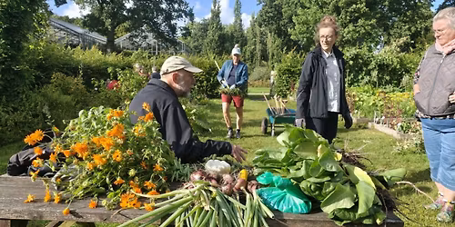 Haveskole s\u00e6son 2026