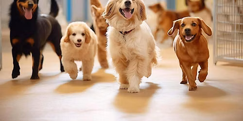 BARK & BREW FEST 2026
