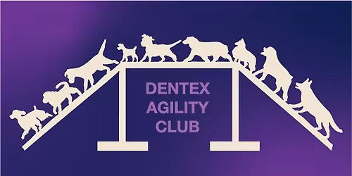 DenTex Agility Club AKC trial