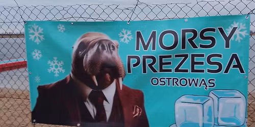 5 Urodziny Mors\u00f3w Prezesa