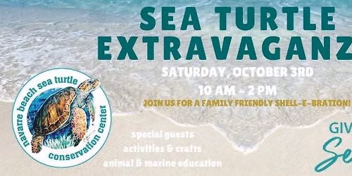 Sea Turtle Extravaganza 2026!
