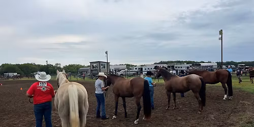 Area 4-H\/FFA Horse Show