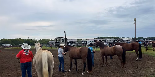 Area 4-H\/FFA Horse Show 
