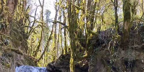 WE WimHof \/ Oxygen Advantage aux portes du Vercors