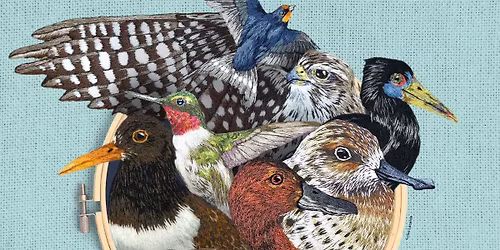 World Migratory Bird Day