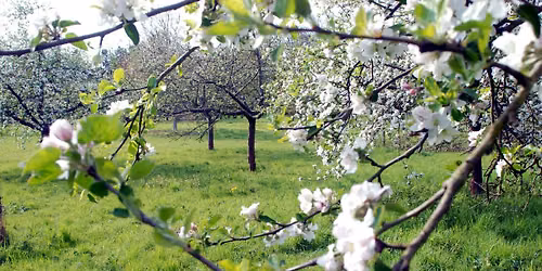 Natur erleben \u2013 Tag der offenen T\u00fcr der SDW auf Gut Leidenhausen