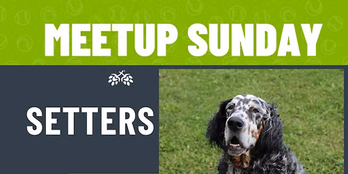 Setters Meetup 