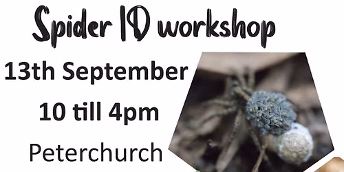 Spider ID Workshop