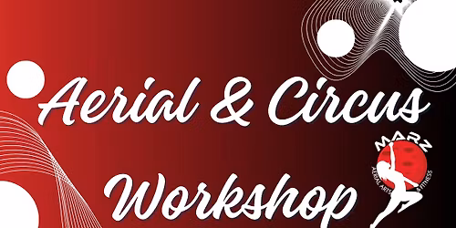 Martin Luther King Jr. Day Aerial & Circus Workshop for Kids