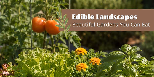 Edible Landscapes: Beautiful Gardens You Can Eat - Palo Alto