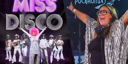 Miss Disco & DJ Digital Christmas Party