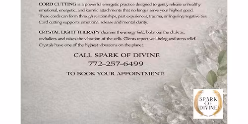 Reiki Energy Clearing & Chakra Balancing w\/ Crystal Light Bed w\/Tina