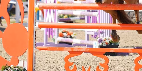 Competition SJ Camp at LKF