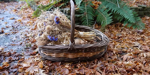 Willow Weaving - Garden Trug Workshop