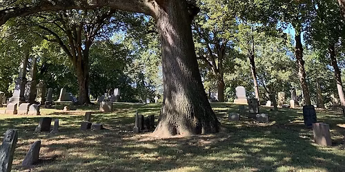 Black Birders Week: Birding with New York Restoration Project