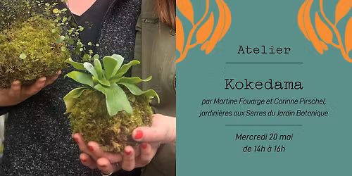 Atelier Kokedama