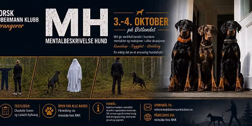 MH - Mentalbeskrivelse hund