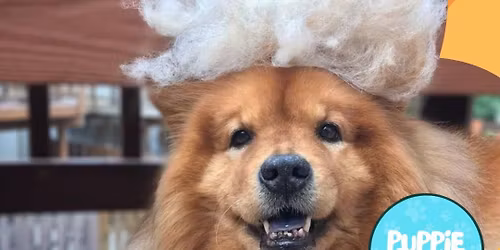 \ud83d\udea8 WHAT THE FLUFF?\ud83d\udea8\ud83d\udc3e
