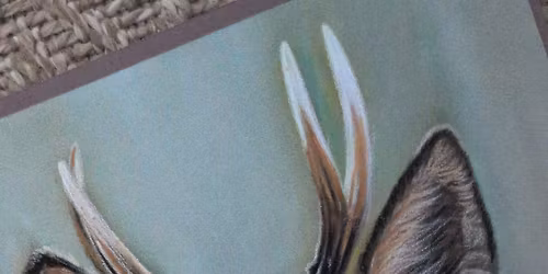 Roe Deer Pastels Workshop with Roxy