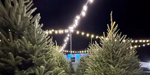 Merry and Bright: Christmas Lot Lighting