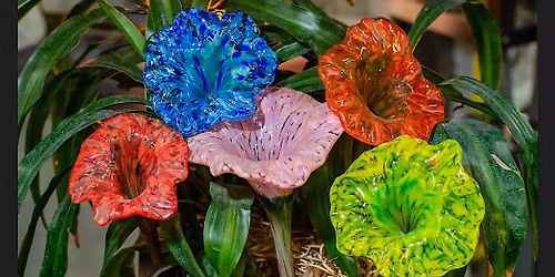 Plant-Watering Stakes! Beyond pulled flowers. Not here to just look pretty.