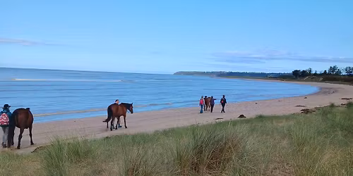 Marche afghane (m\u00e9ditative) avec les chevaux 