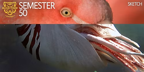 Sketch 2 with Tom Tuesdays starting Apr 28