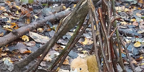 Teddy bear dens and popcorn at Hartshill Hayes Country Park