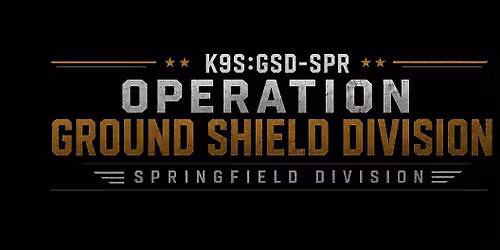 K9S:GSD-SPR
