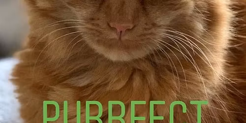 A Purrfect November Jumble Sale