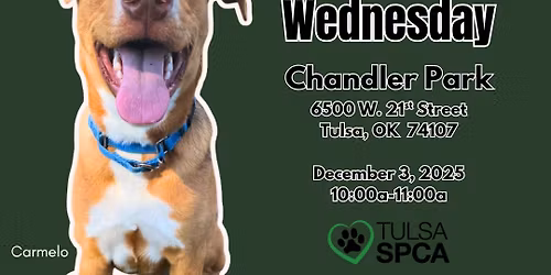 Nature Walk Wednesdays - Chandler Park