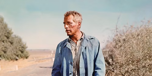 Cool Hand Luke at Frank Banko Alehouse Cinemas