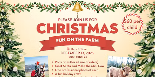 Christmas Fun on the Farm