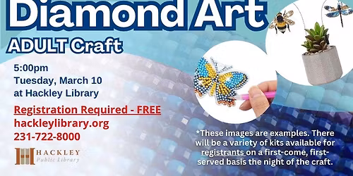 Diamond Art - Adult Craft