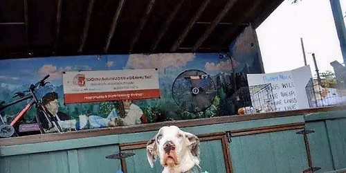 17th Annual Puppy Mill Awareness Day