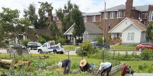 The Ville Family Garden Volunteer Day
