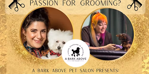 Jess Rona \/ Melissa Jepson Come to Fort Wayne, IN