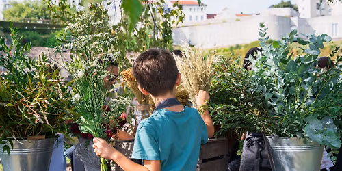 Rendez-vous aux jardins