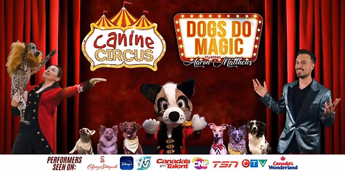 Dogs Do Magic: A Canine Christmas