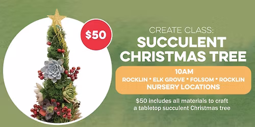 CREATE Class: Succulent Christmas Tree | Folsom