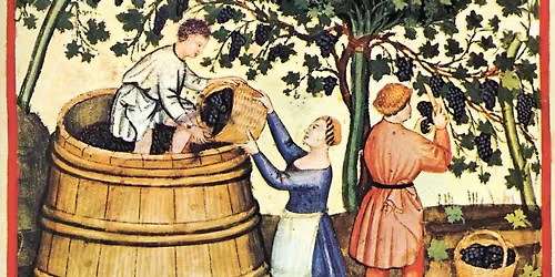 Wine: The First 8,000 Years