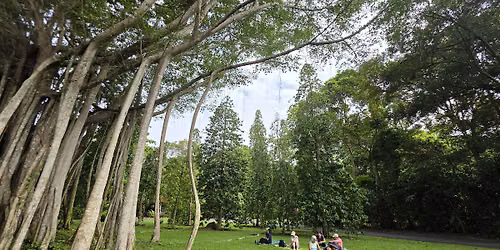 Rest & Reconnect in Nature: A Guided Nature Therapy Experience