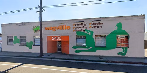L.A. (Northeast) - Dog dental cleaning