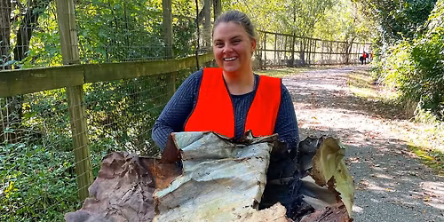 Whites Creek Clean-up