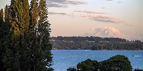 PAWA with SPACE Paints Magnuson Park  2026