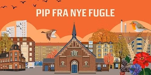 Pip fra nye fugle - Kapernaumspr\u00e6diken af Martin Brehm Christensen